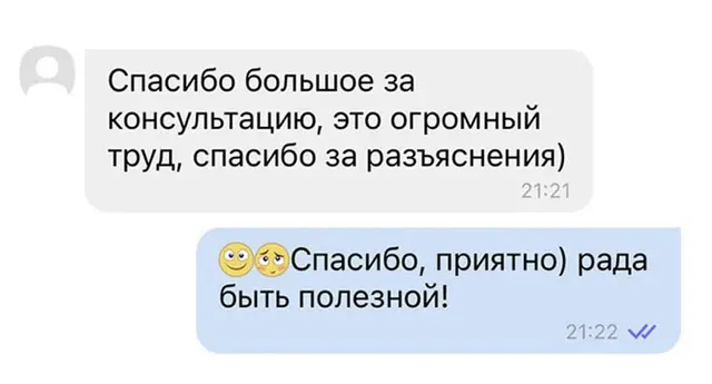 Благодарность за труд и разъяснения — Оригинальный скриншот