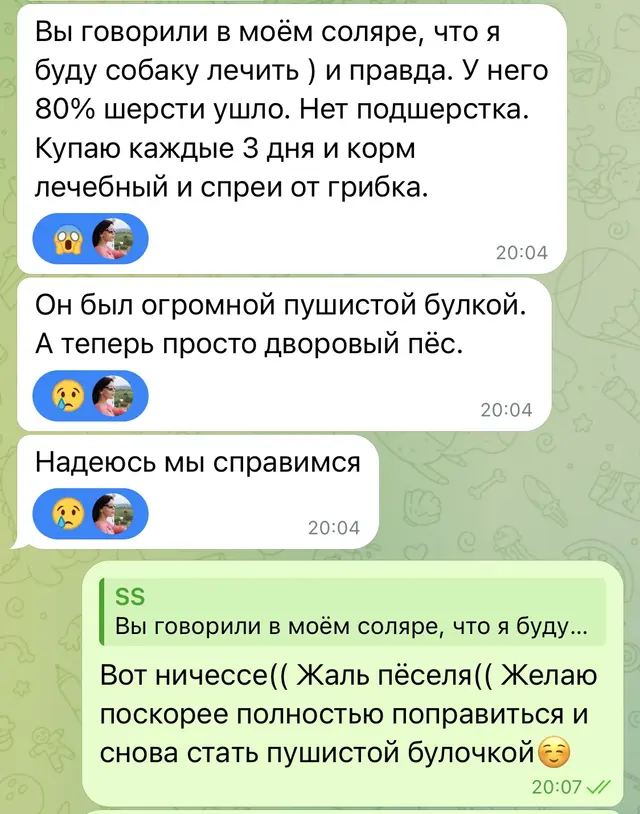 Обратная связь о событиях года и заботе о питомце — Оригинальный скриншот